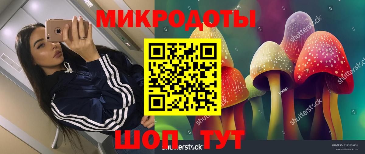 Галлюциногенные грибы Psilocybine cubensis  Вход с VPN  Ртищево 